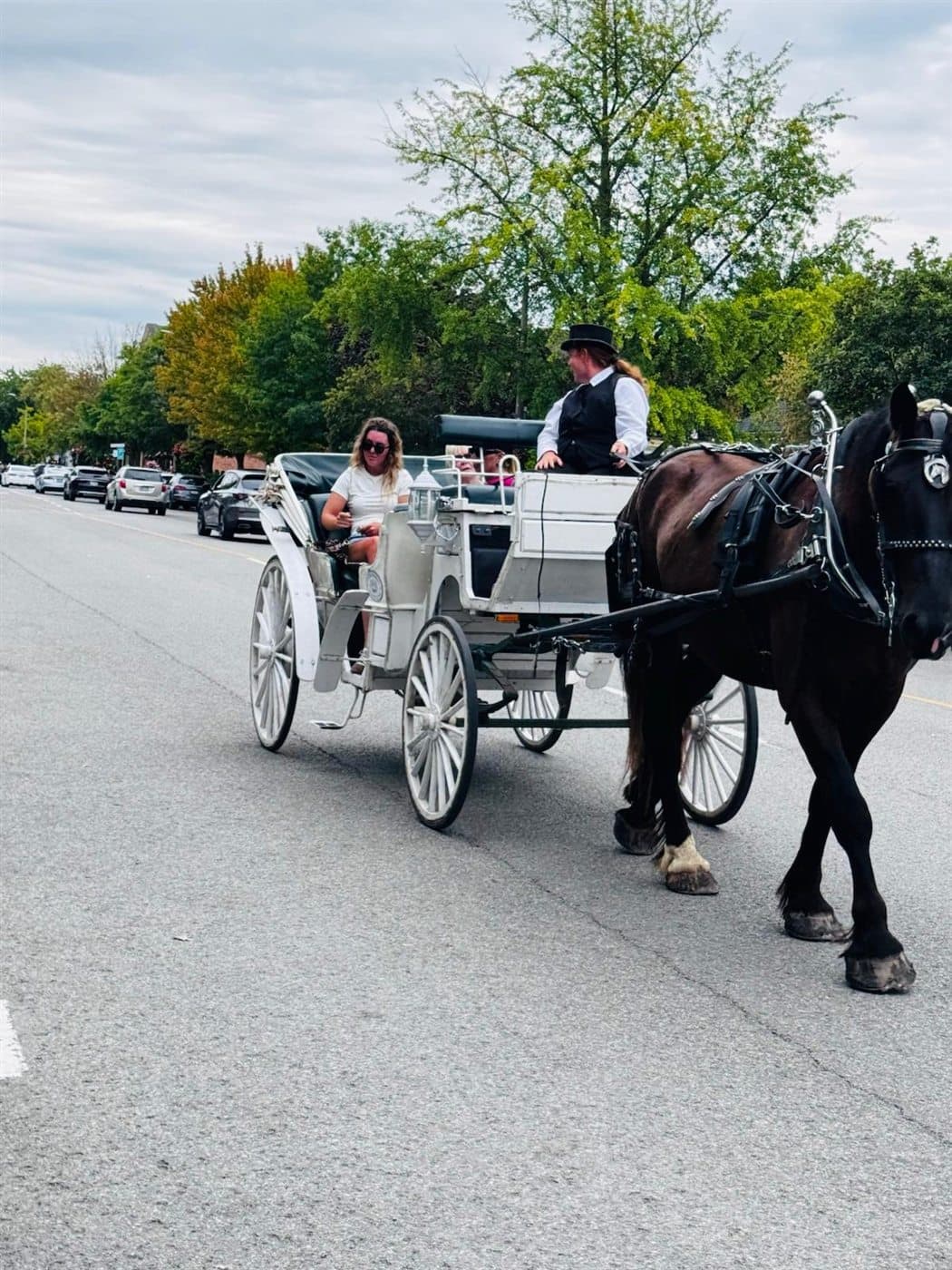 Horse-drawn carriage travelling through Niagara-on-the-Lake during a private tour stop