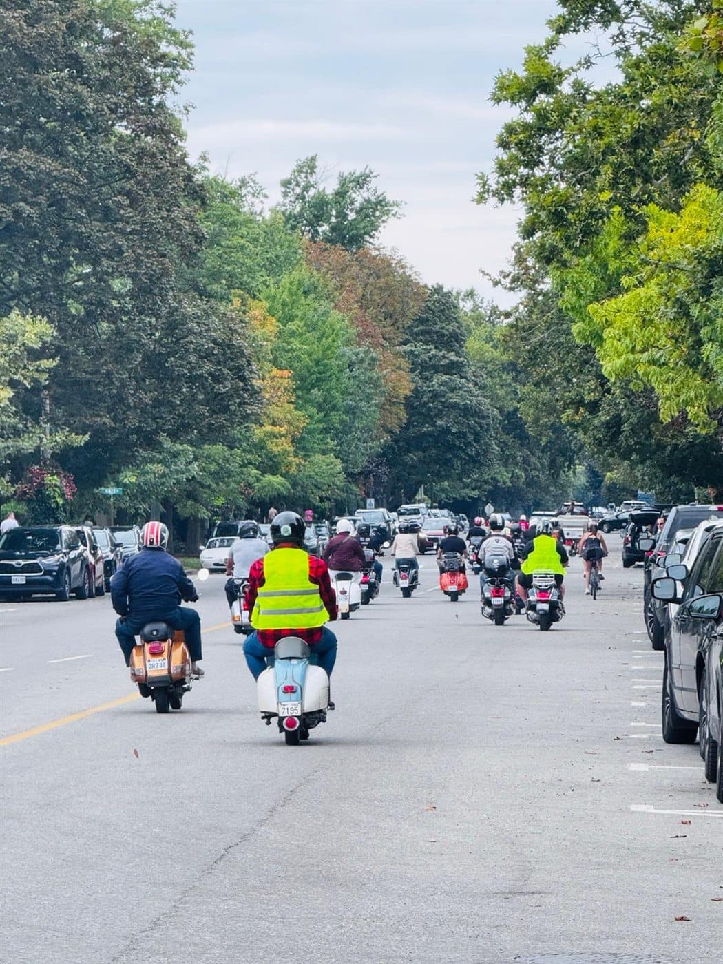 Scooter riders travelling along a tree-lined Niagara-on-the-Lake street during a private tour